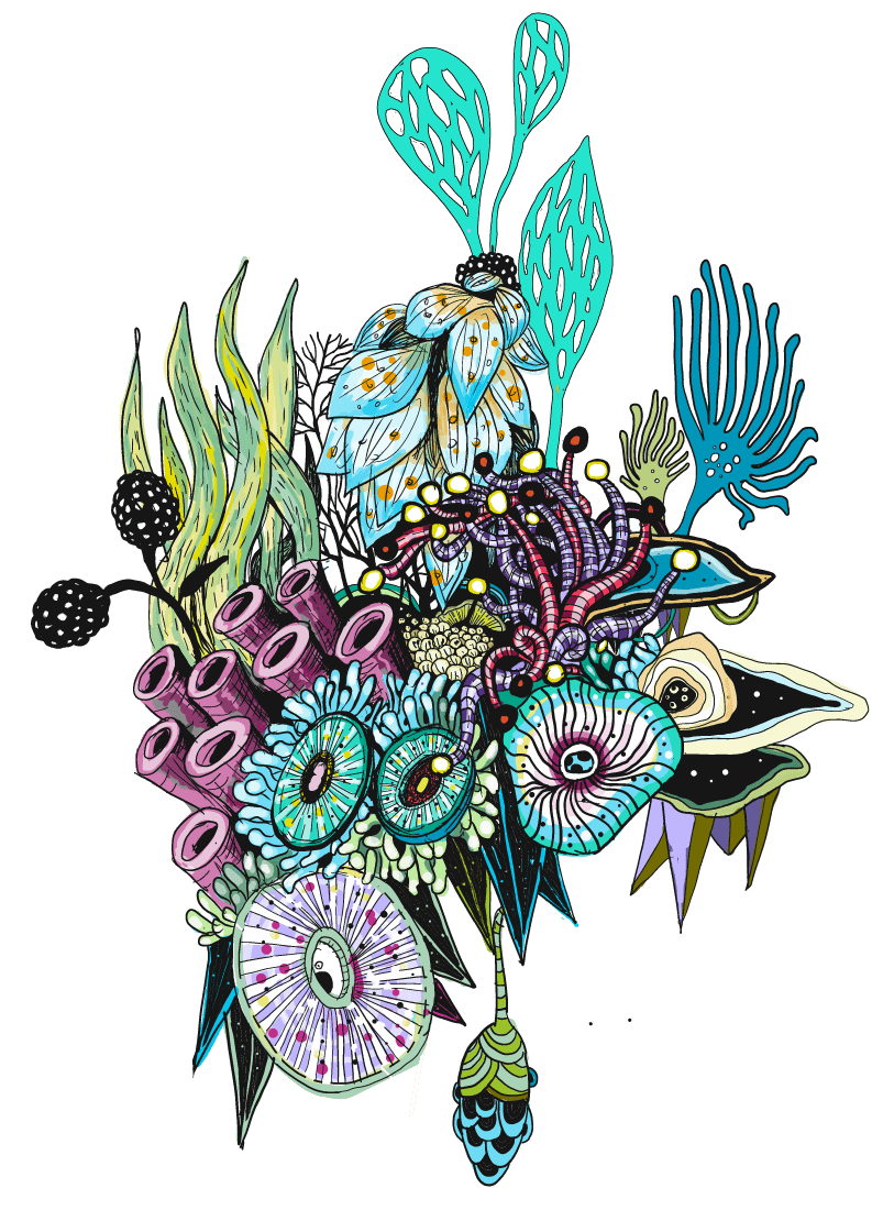 zentangle-gross-colored-LATEST-edited-min